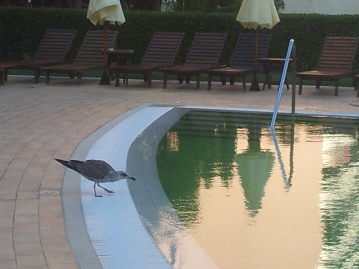 Pool Tower Barcelo