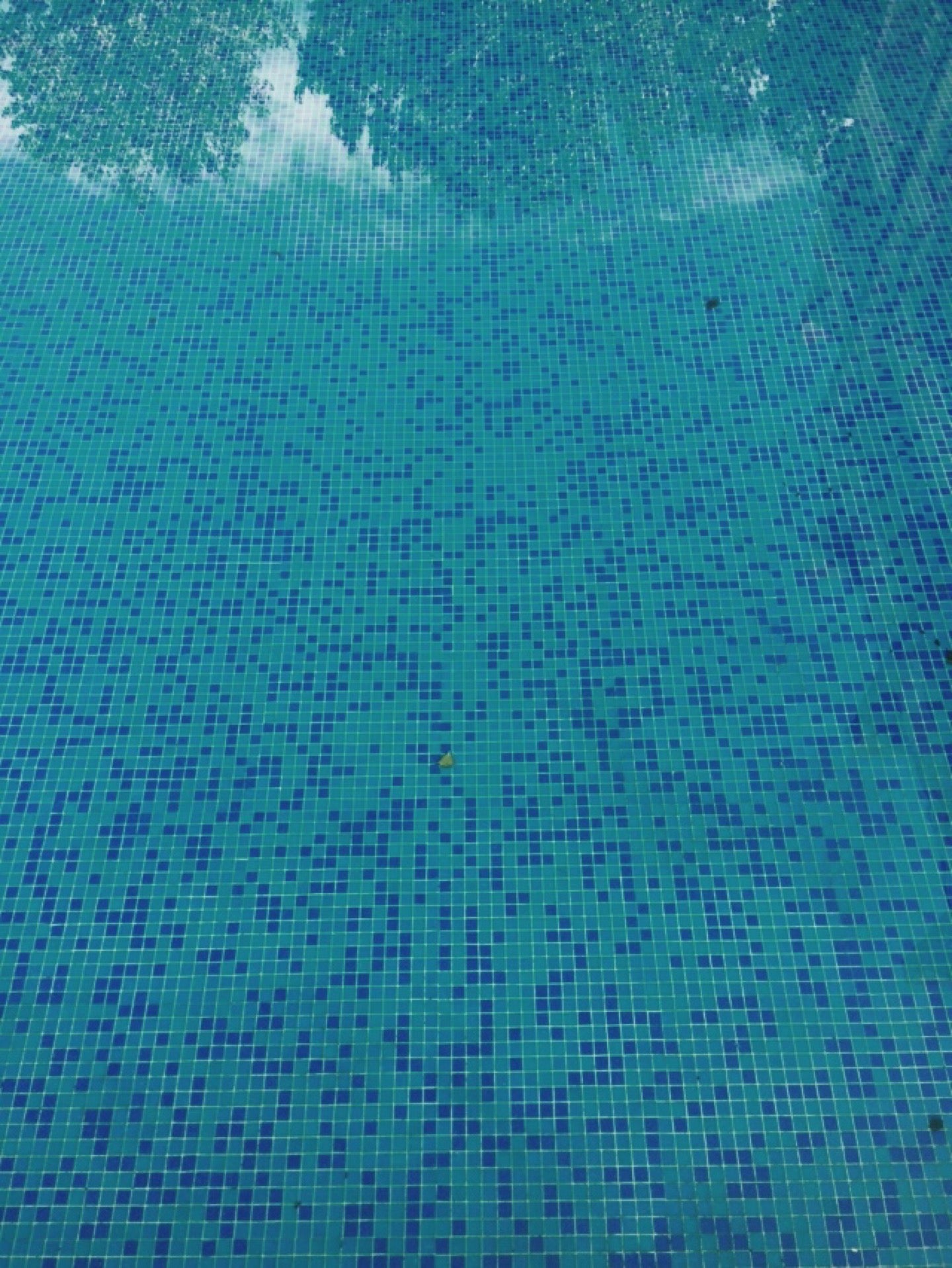 Swimming pool @ Royal Sun Aparthotel
