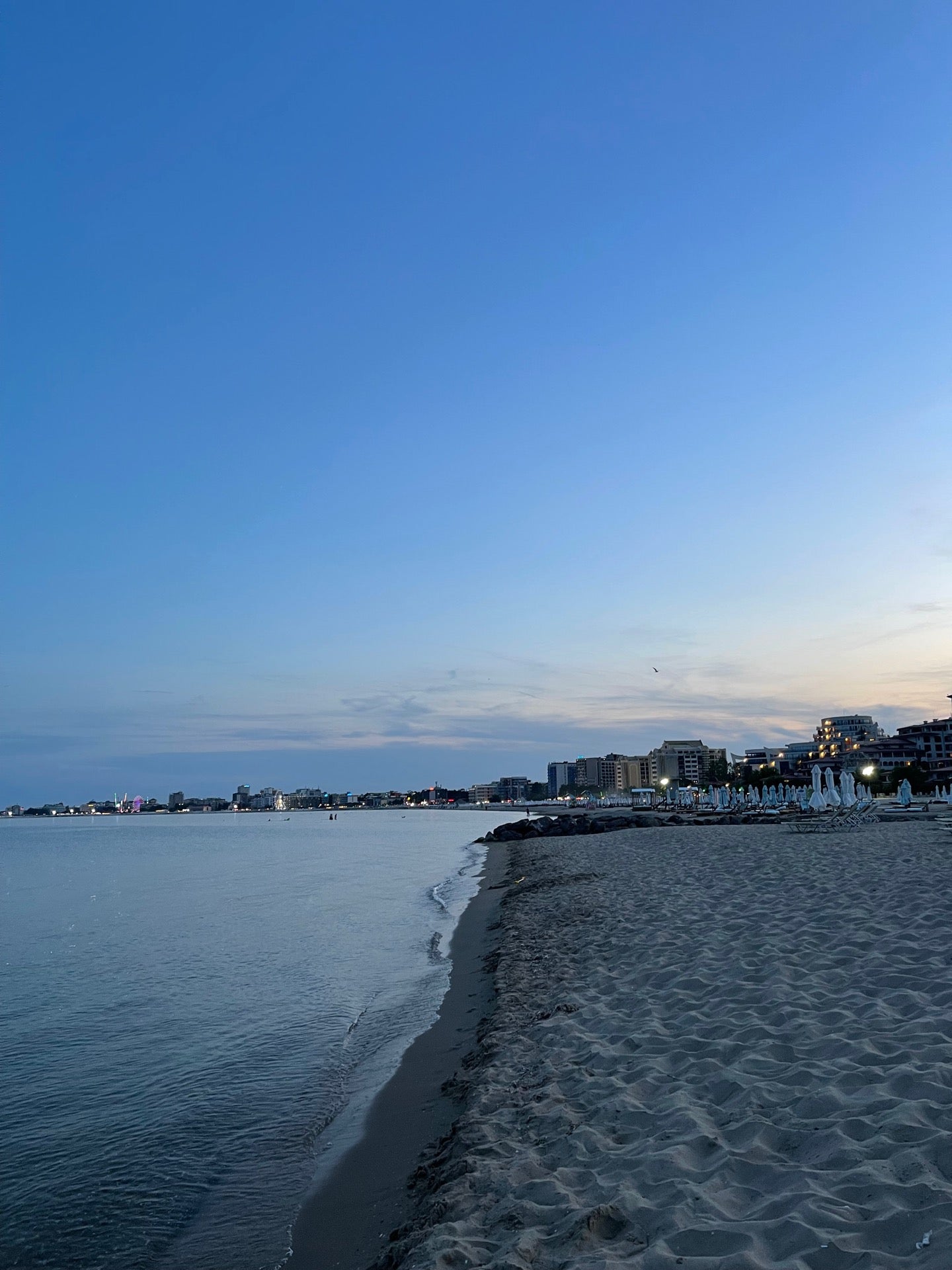 Dolphin Beach